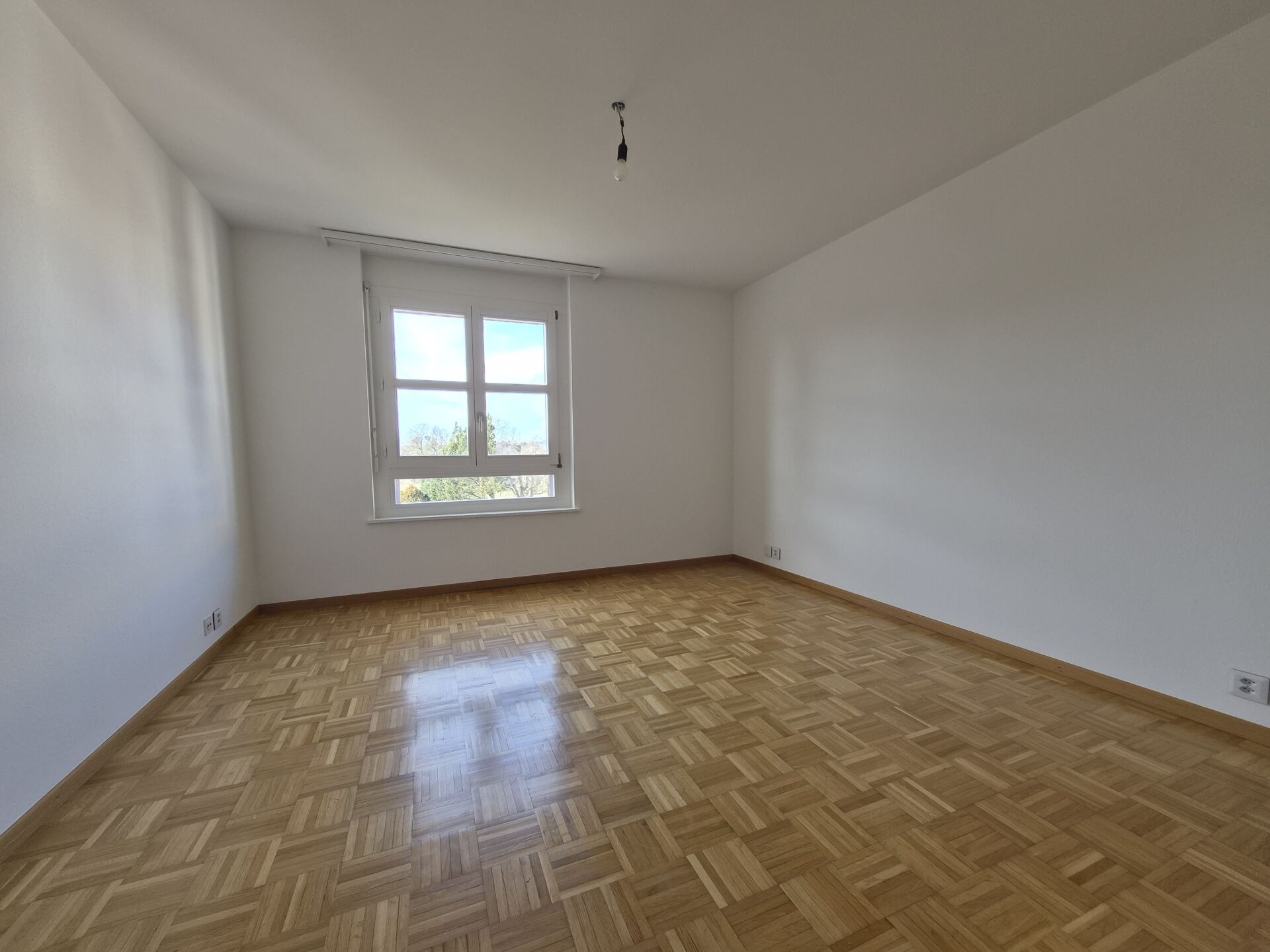 485f6f92947a5db41fa4bbe2391ce052