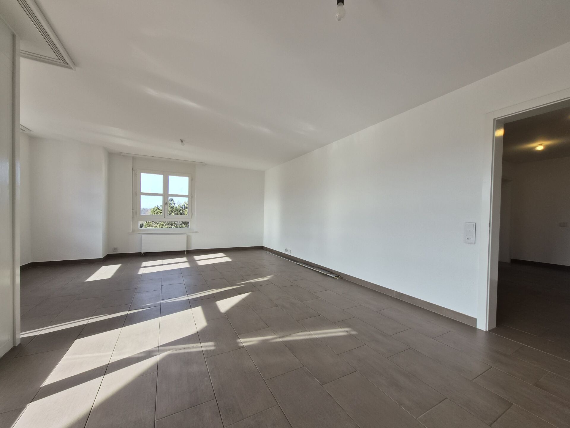 e3befe3d1d2d2dd1e0be4cb05ab70685