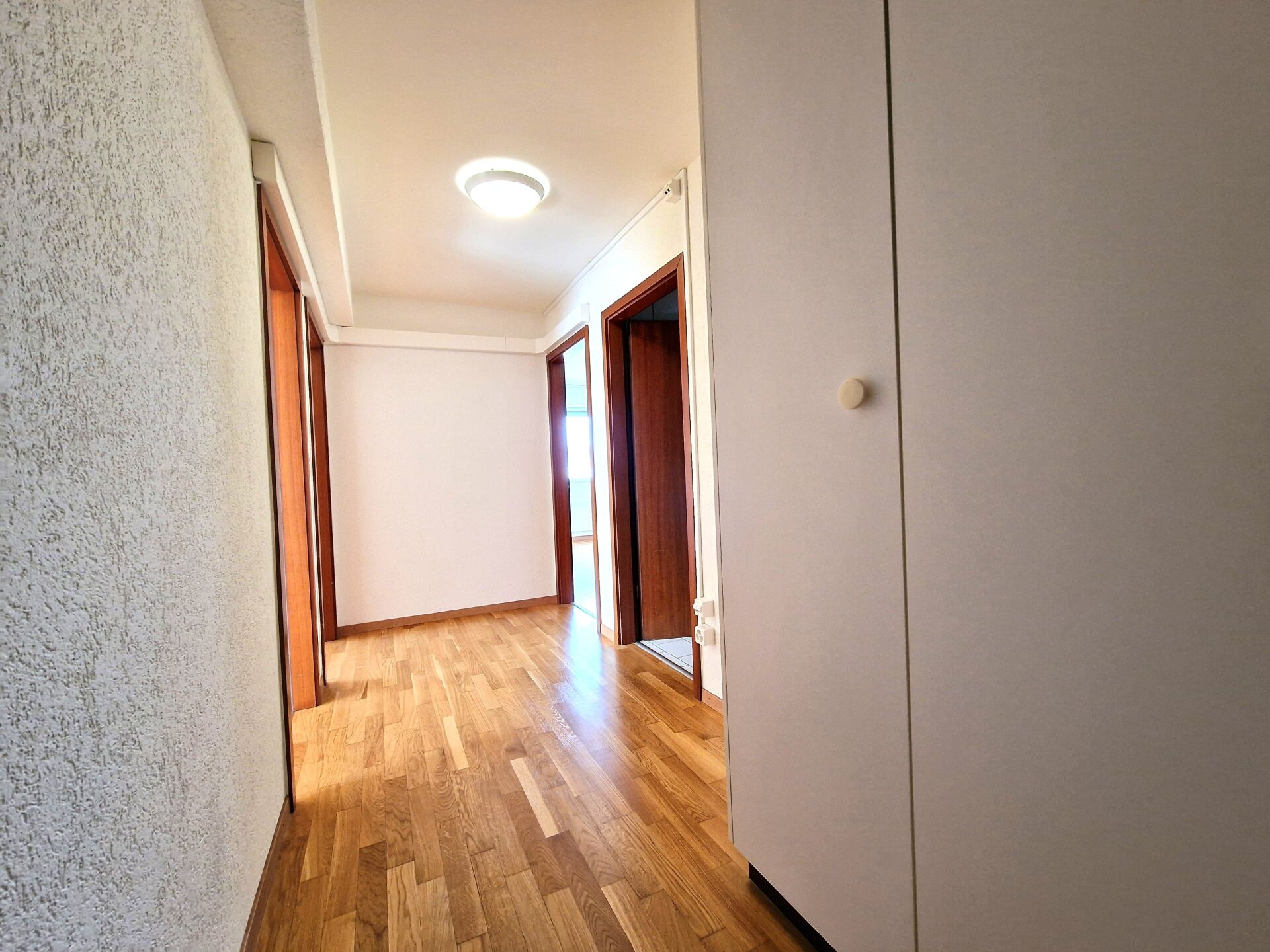 Spacieux appartement de 5.5 pièces
