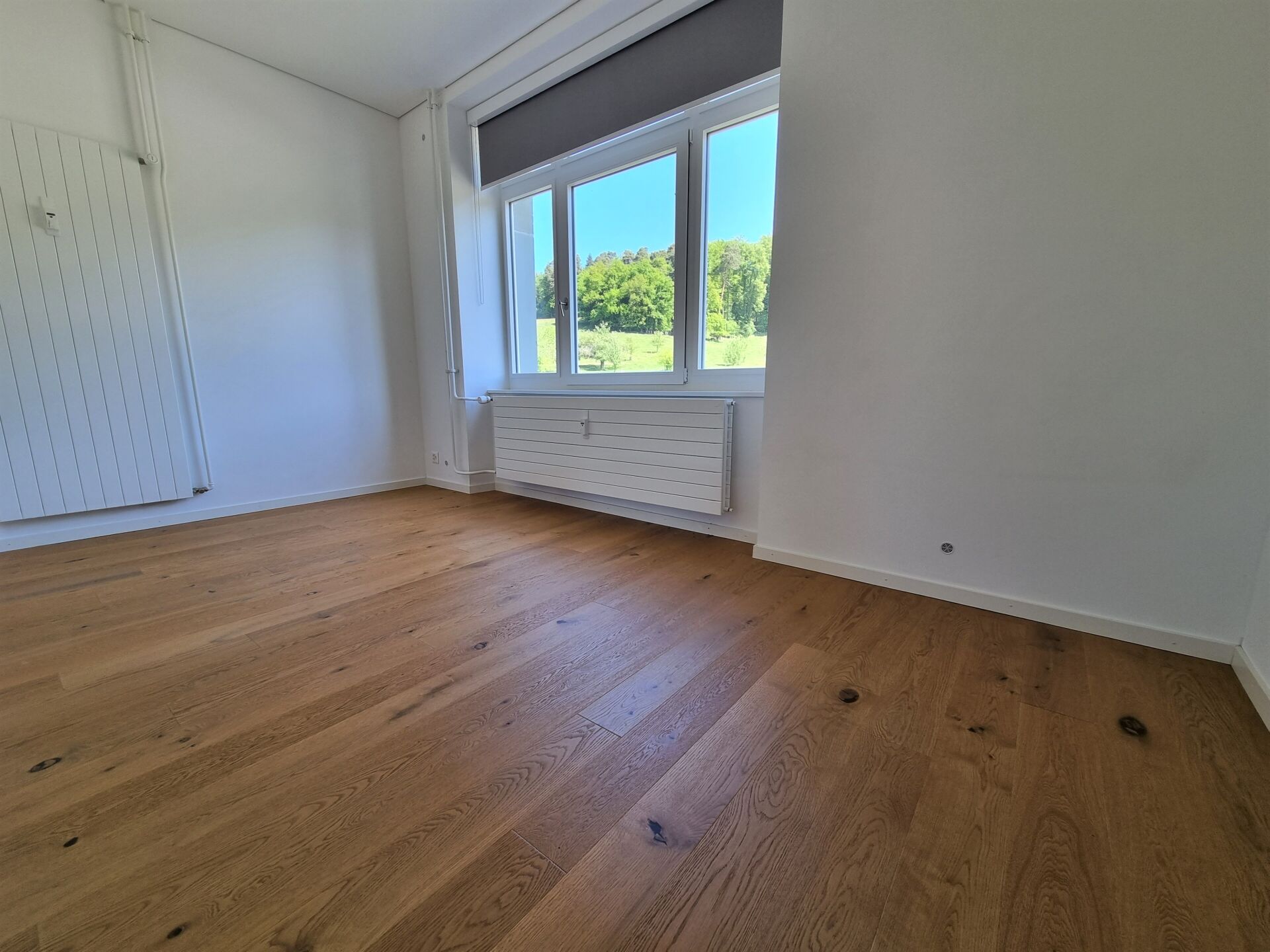 Belfaux – Appartement de 2 pièces au rez-de-chaussée avec terrasse et jardin